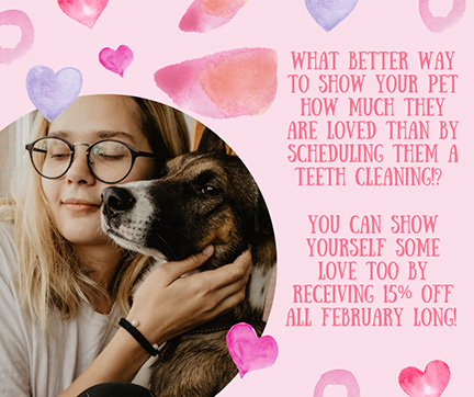 What better way to show your pet how much they are loved than by scheduling them a teeth cleaning? You can also show yourself some love by receiving 15% off all February!